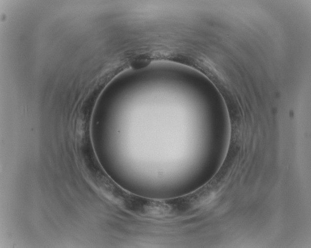 X0000089710215200706211351