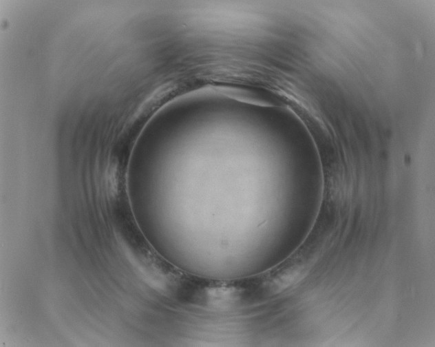 X0000089710216200706211351