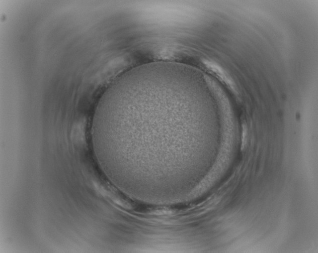 X0000089710217200706211351