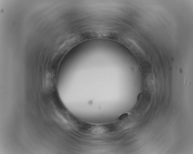 X0000089710218200706211351