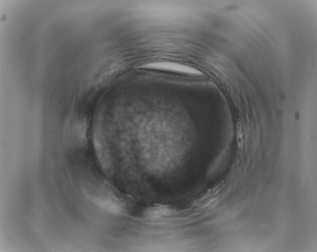 X0000089710219200706211351