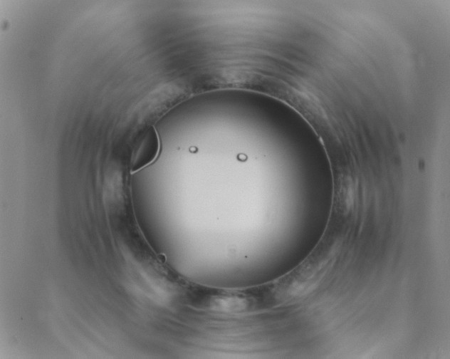 X0000089710220200706211351