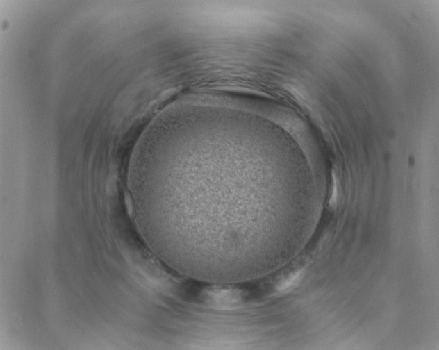 X0000089710221200706211351