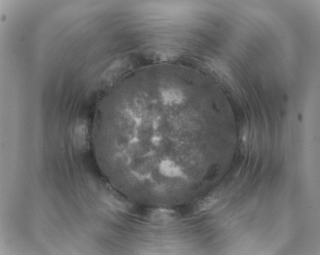 X0000089710222200706211351