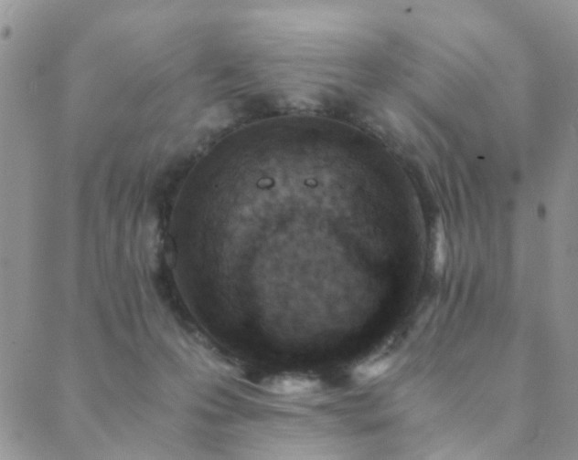 X0000089710223200706211351