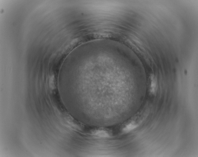 X0000089710224200706211351