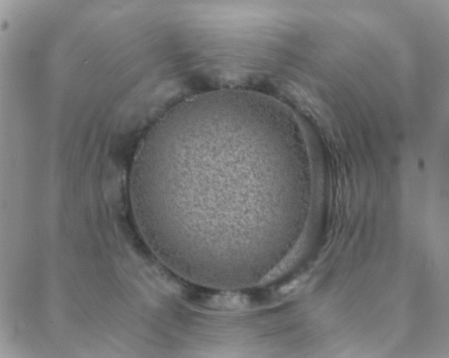 X0000089710225200706211351