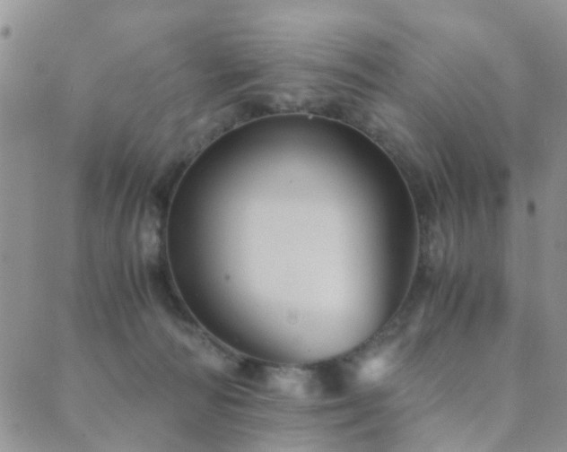 X0000089710226200706211351