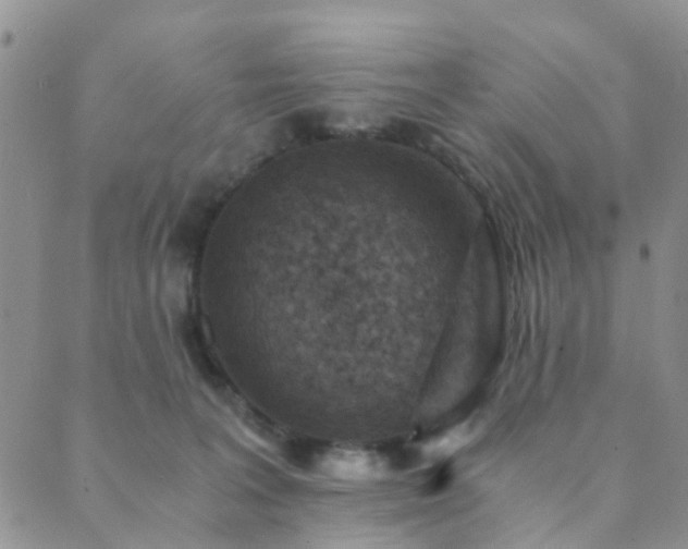 X0000089710227200706211351