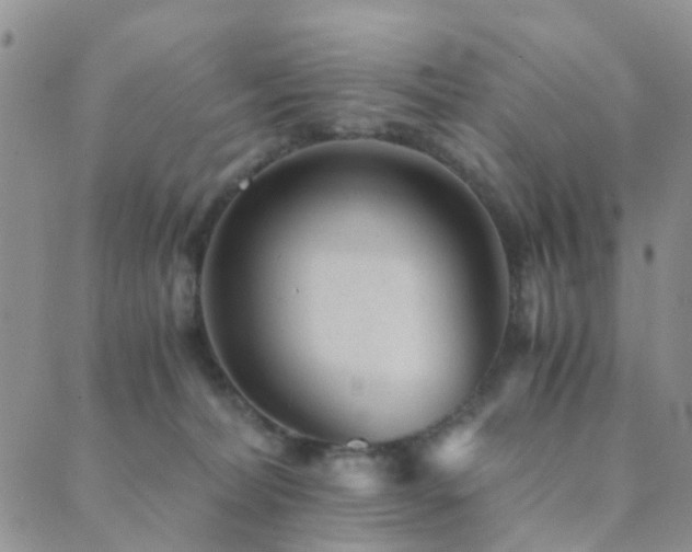 X0000089710228200706211351