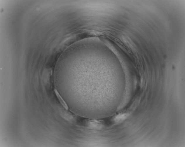 X0000089710229200706211351