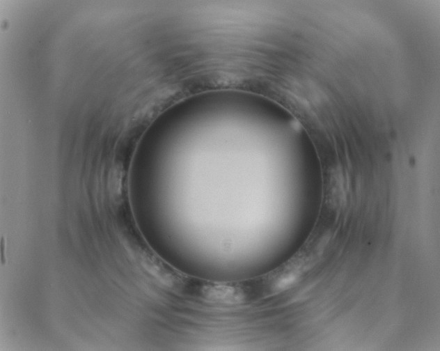 X0000089710230200706211351