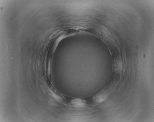 X0000089710231200706211351