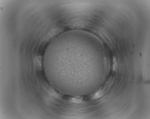 X0000089710232200706211351