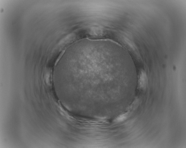 X0000089710233200706211351