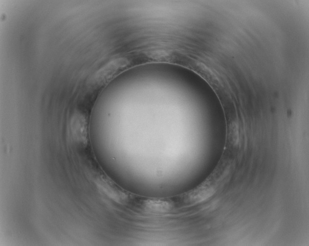 X0000089710234200706211351