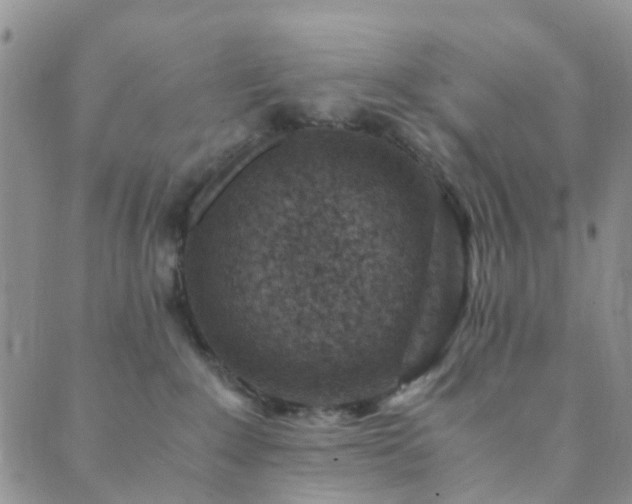 X0000089710235200706211351