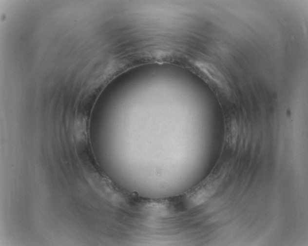 X0000089710236200706211351