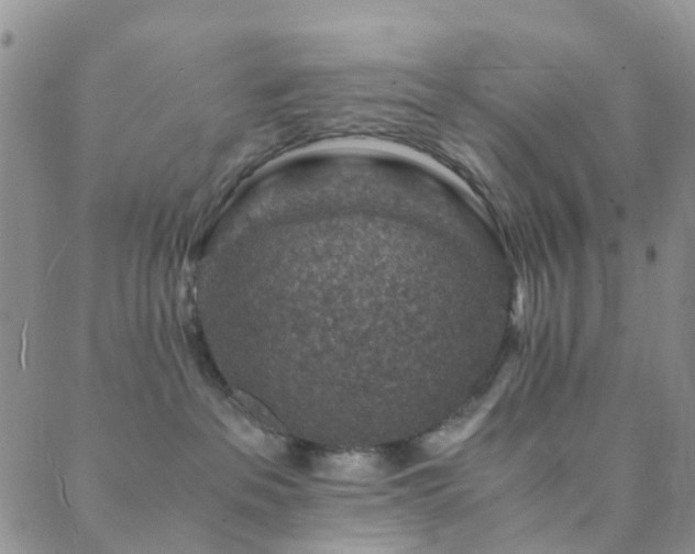 X0000089710237200706211351