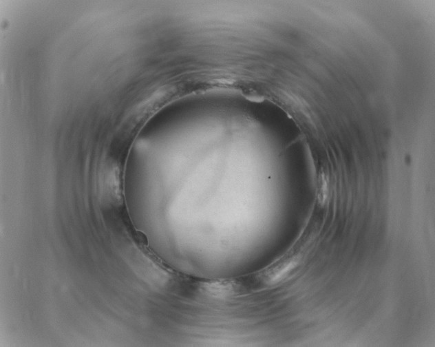 X0000089710238200706211351