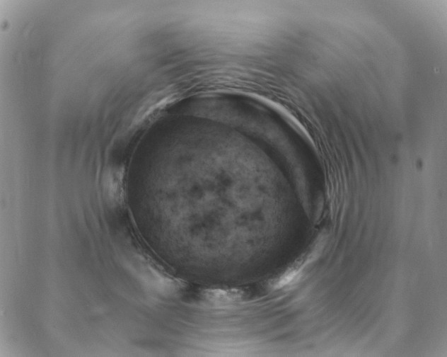 X0000089710239200706211351