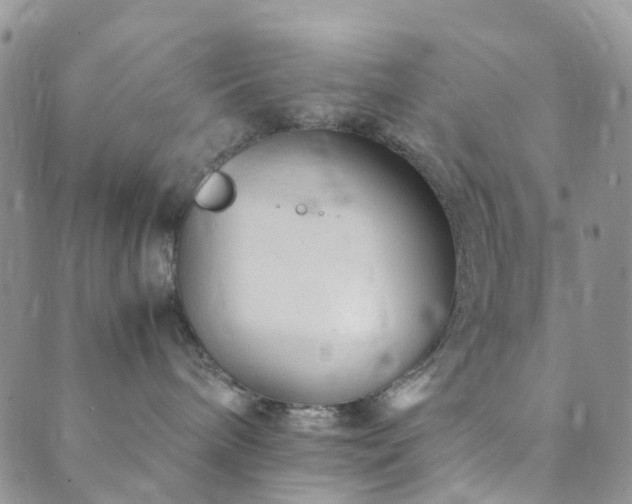 X0000089710240200706211351