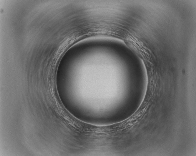 X0000089710241200706211350