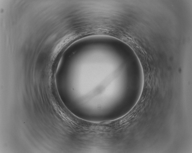 X0000089710242200706211350