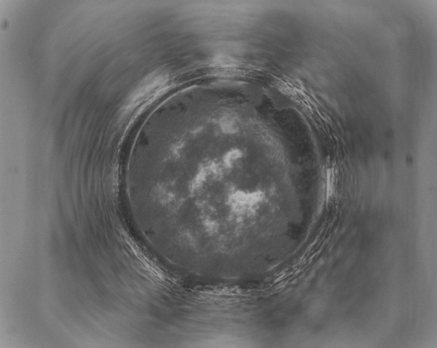 X0000089710243200706211350