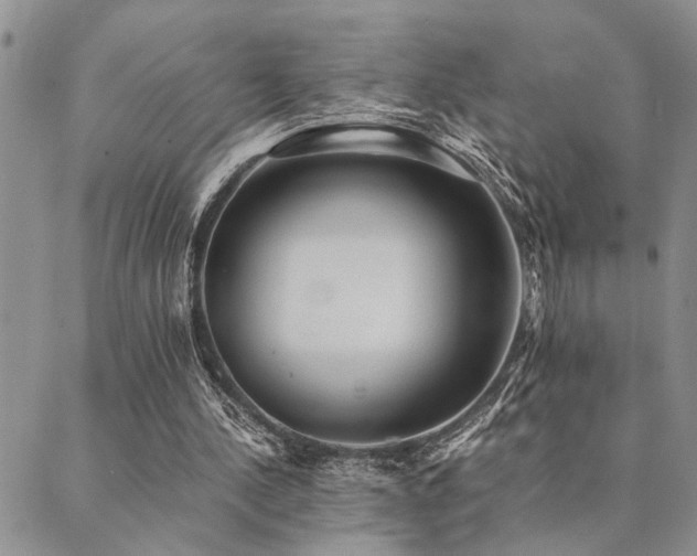 X0000089710244200706211350