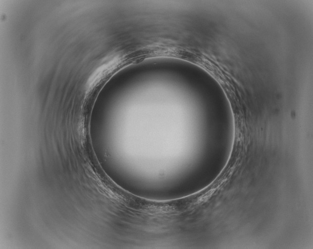 X0000089710245200706211350