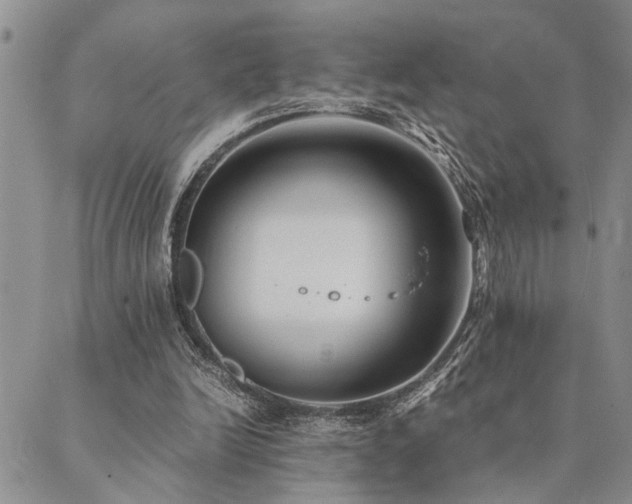 X0000089710246200706211350