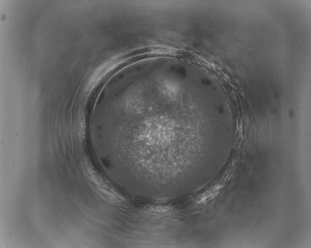 X0000089710247200706211350