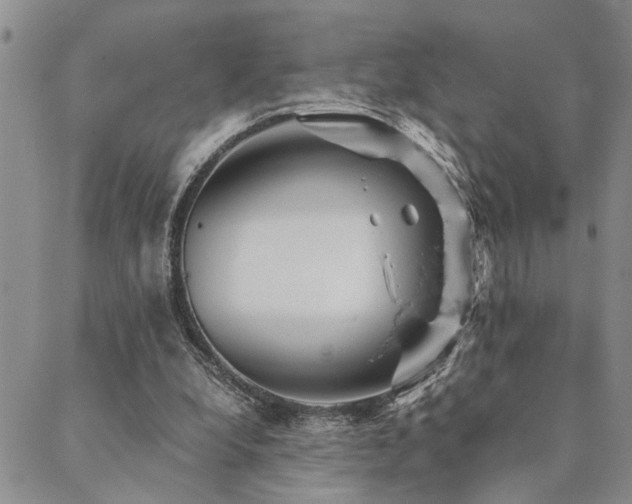 X0000089710248200706211350