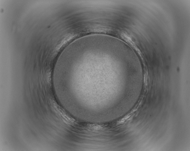 X0000089710249200706211350