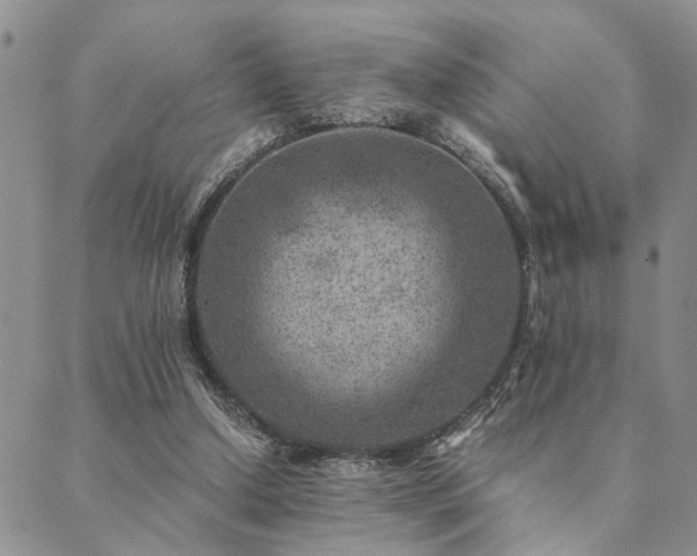 X0000089710250200706211350