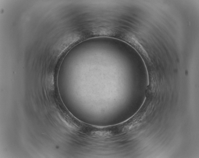 X0000089710251200706211350