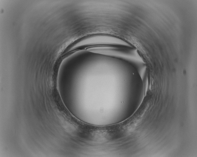 X0000089710252200706211350