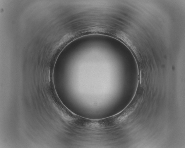 X0000089710253200706211350