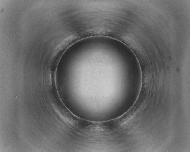 X0000089710254200706211350