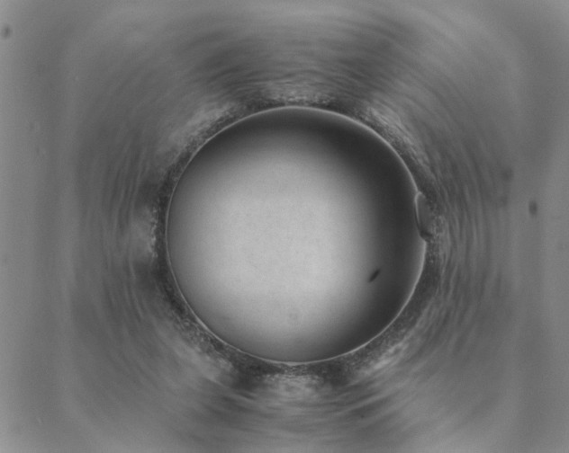 X0000089710255200706211350