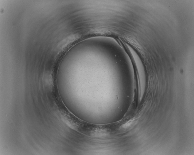 X0000089710256200706211350