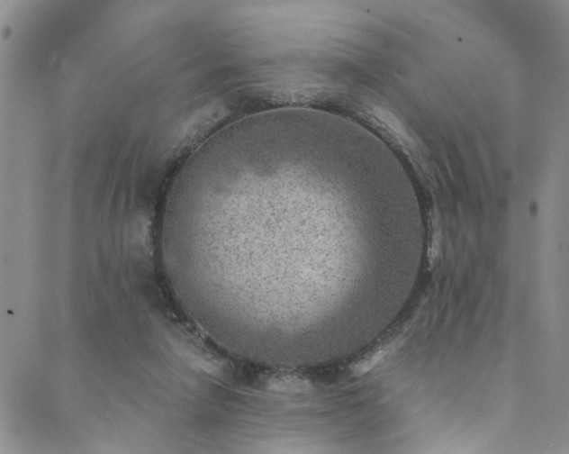 X0000089710258200706211350