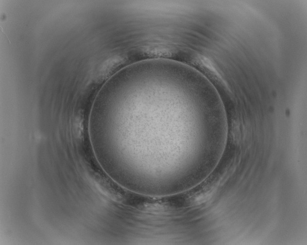 X0000089710259200706211350