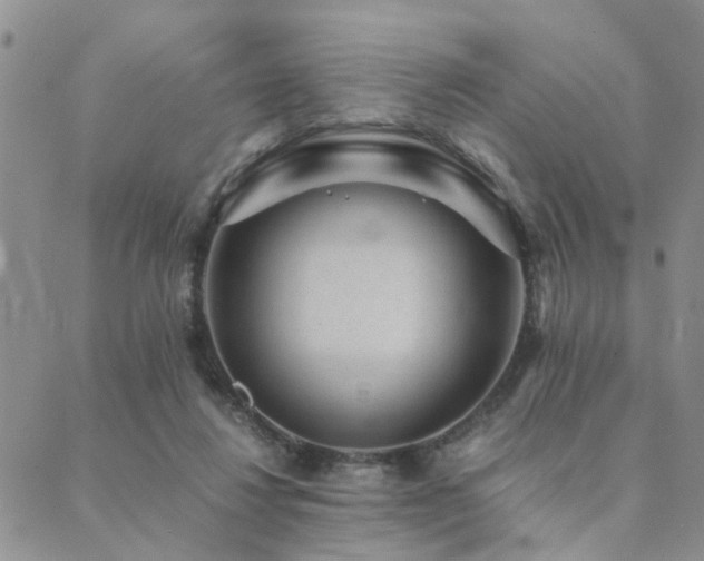 X0000089710260200706211350