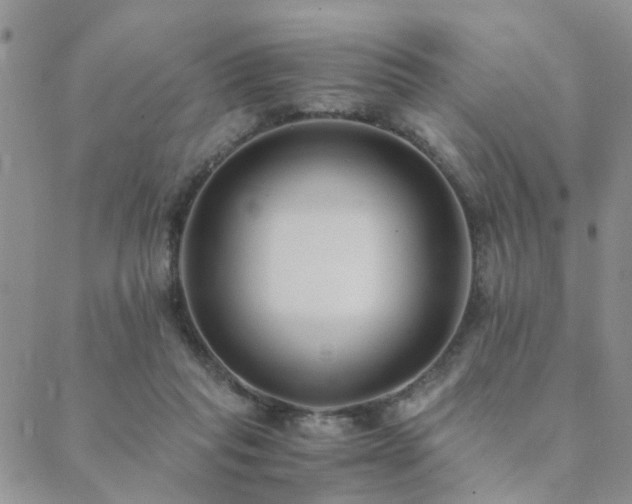 X0000089710261200706211350