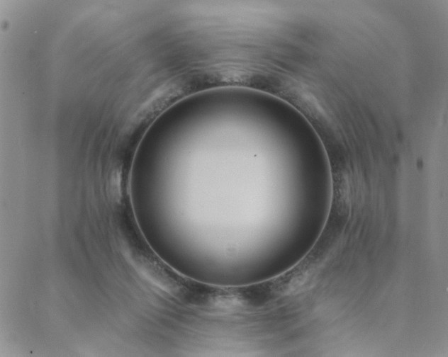 X0000089710262200706211350