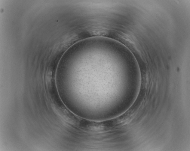 X0000089710263200706211350