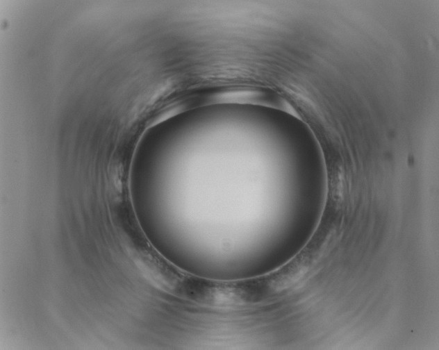 X0000089710264200706211350