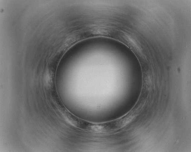 X0000089710265200706211350